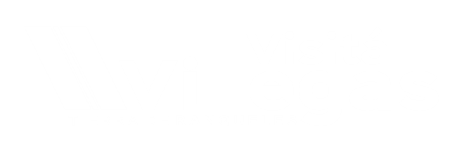 logo de visitá villegas